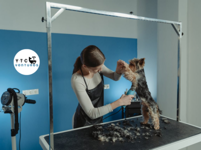 Pet Hospital Equipment Requirement – 24x7 Veterinary Hospital Setup